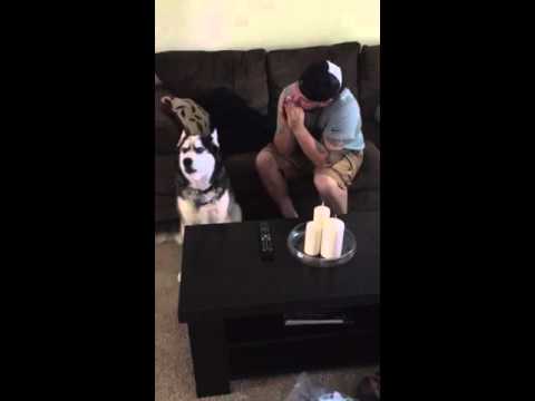YouTube Thumbnail