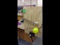 Rube Goldberg Machine Popping A Balloon