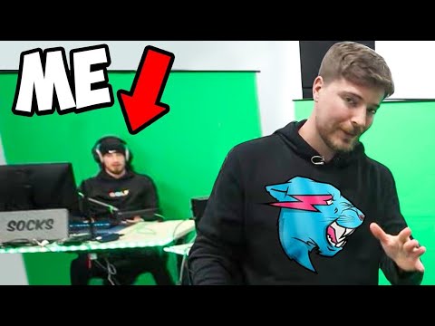 The Truth Behind The MrBeast Video...