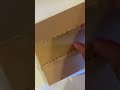 Apple Card Unboxing