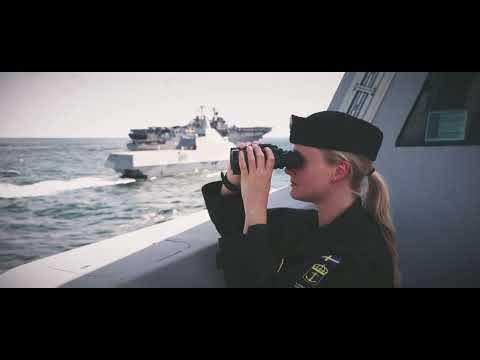 Sjöstridsflottiljerna