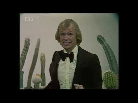 Jiří Korn - Chlupatý kaktus (1980)