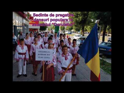 Raport activitate scolara - Semestrul I - An scolar 2016-2017.