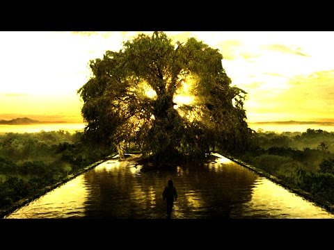 Ivan Dominik - Tree of Life | Epic Beautiful Music