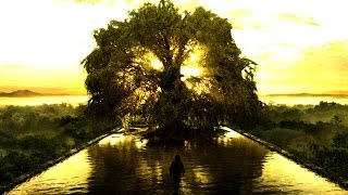 Ivan Dominik - Tree of Life | Epic Beautiful Music