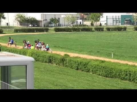 Trka "Resava" 02.05.2019 Demon King- Stevan Sič.st.