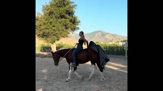 Video 3