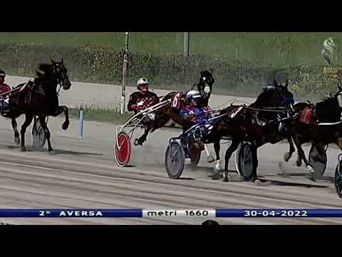 Aversa trotto 30 Aprile 2022 - 2° Corsa