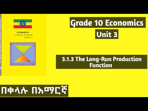 Grade 10 Economics: 3.1.3 The long-run production function #grade10 #economics #unit3 