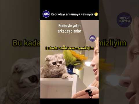 kedi gibi izledim 😂