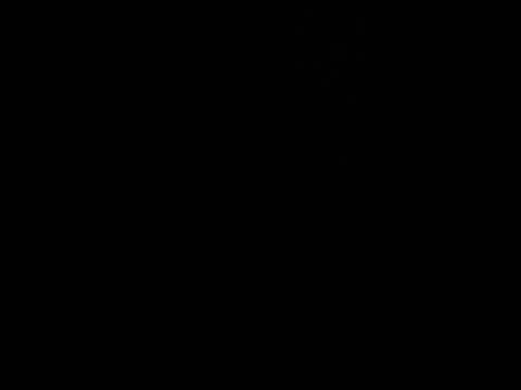 Citaro Thrash (ZF Ecomat)