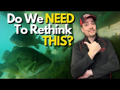 Is This The MOST Misunderstood Bass Behavior?