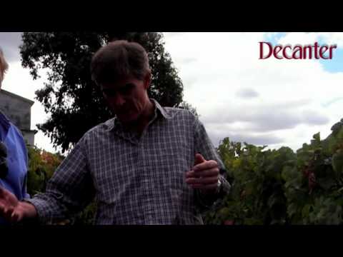 Decanter: Paul Symington in the vineyard at Quinta do Malvedos