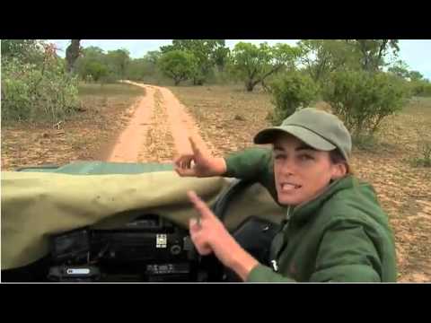 Mar 9 Sunset SafariLIVE