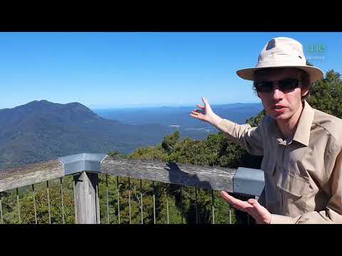 ⚒️ George the Geologist Dorrigo Lookout - Erosion