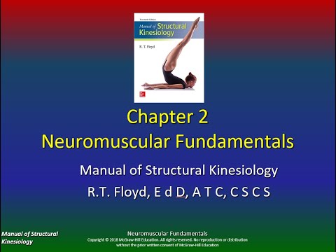 Structural Kinesiology Chapter 2, P3
