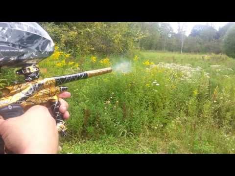 Custom Splash Ego 11 -Gold Black and Silver