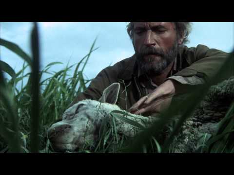 Vorschaubild für Phase IV Trailer
