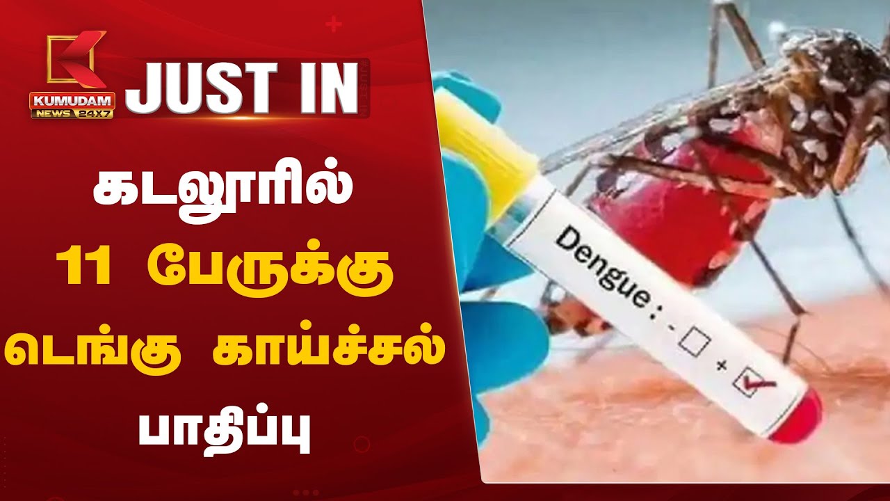 11 பேருக்கு டெங்கு காய்ச்சல் பாதிப்பு.. கடலூரில் பரபரப்பு