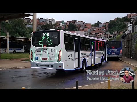 Apache VIP IV sc - MB OF-1724 BT5 -- 852 Moratense - Natalino Iluminado 2020