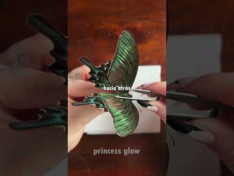 🦋 ¡Has Estado Dibujando Mariposas Mal Toda Tu Vida! 🤯