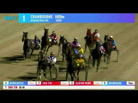 Harness Racing- Cranbourne- Race 1- May 13, 2017