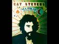 Cat Stevens - I Want To Live In A Wigwam