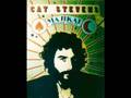 Cat Stevens - I Want To Live In A Wigwam 