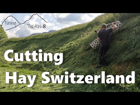 It's hay cutting day in Switzerland! (Farming The Alps #8)