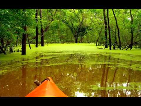 Underworld - Sunset Session Group