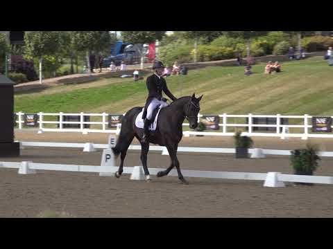 Alex Holman & Rock Solid - Hartpury CCI2*-L Dressage 2019