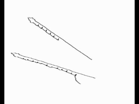 CLASSICAL GUITARJohn Williams  Andres Segovia BACH suite No 1 minuettoanimations by ARTPOETICACOUVELIS