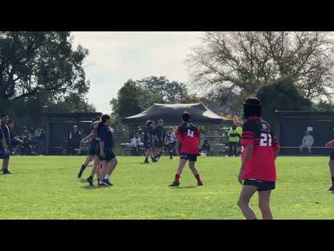 Werribee Bears U12 Red VS Sunshine Cowboys U12 (1st half)