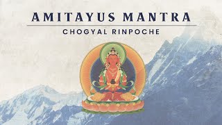 Download lagu Amitayus - Mantra by Chogyal Rinpoche mp3 Download lagu Amitayus - Mantra by Chogyal Rinpoche mp3