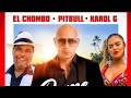 Pitbull - Dame Tu Cosita (Radio Version)