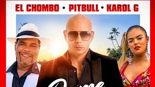 Pitbull - Dame Tu Cosita (Radio Version)