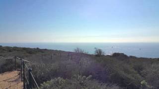 California Life - Dana Point Headlands Conservation Area, CA