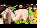 ZAID KO QURBANI KE LIE JANWAR PASAND AGAYA MISHKAT KHAN FICTION VLOG