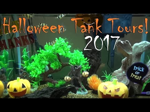 Halloween Fish Tank Tours! | 2017