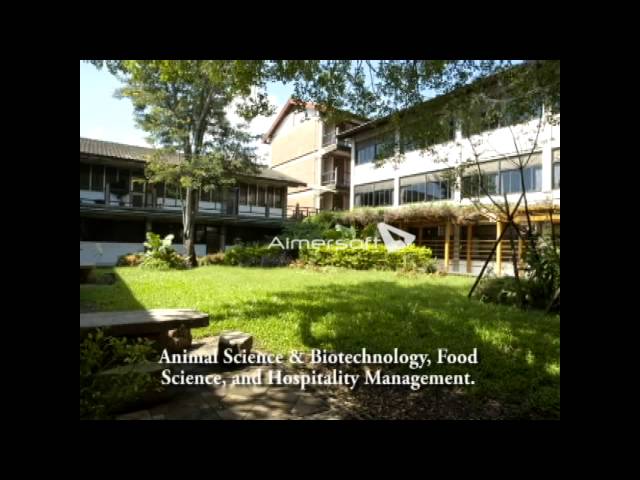 Tunghai University video #1