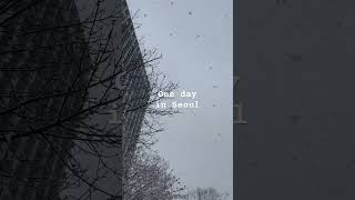 Oneday in Seoul #韓国vlog #雪の韓国 #ソウルカフェ #韓国カフェ #日韓夫婦