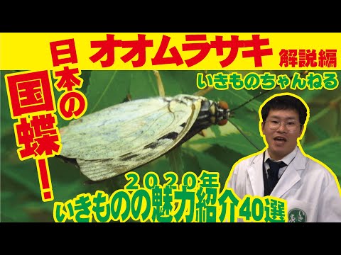 イザベルの夫婦