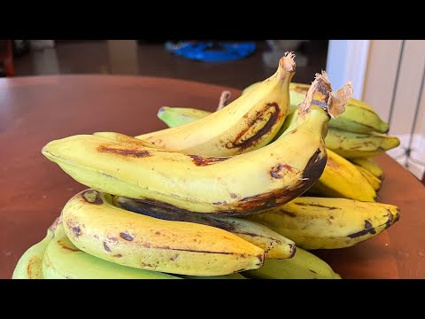 Banana Gros Michel to Cavendish taste test comparison