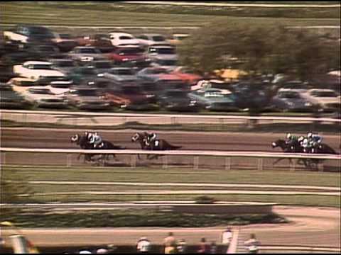 1986 Breeders' Cup Sprint