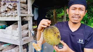 Download lagu EFEK DARI PUPUK ECO FARMING PADA TANAMAN DURIAN | DOSAY mp3