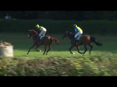 Dostihy Netolice 14. 8. 2022 - 8. dostih - Cena Charvát Group a přátel netolických koní a dostihů