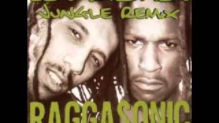 RAGGASONIC Les Riches Original Jungle Remix