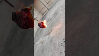 Download lagu Newspaper flying fire | Fire paper flying in sky | #shortsfeed2024 #paper #fire #satisfyingvideo mp3