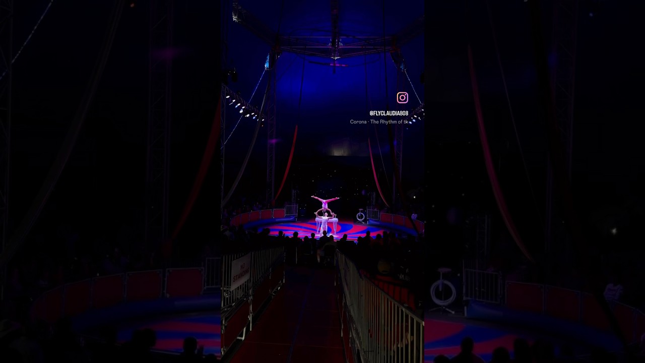 Promotional video thumbnail 1 for Fly Claudia 808