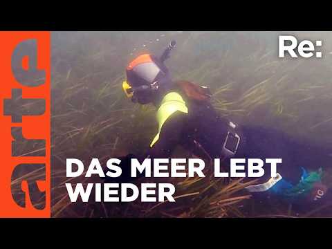 Video Thumbnail: Portugal: Im Kampf für das Meer | ARTE Re: